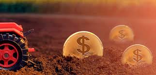 Imagem de colheita em campo, simbolizando economia rural